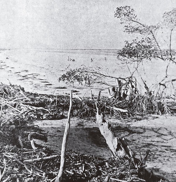 Imagem de Ajuruteua inexplorada (Fonte: Turismo..., 9 fev. 1975, p.11)