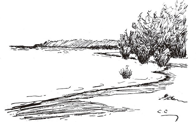 : Praia em Boim, desenhada por Cândido Craveiro (Fonte: Craveiro, 1915a, p.151)