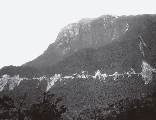 : Marc Ferrez, Estrada de Ferro de Paranaguá a Curitiba: vista geral da linha, tirado do k.[m] 63 (1884); colódio, p&b (Coleção Thereza Christina Maria, Biblioteca Nacional)