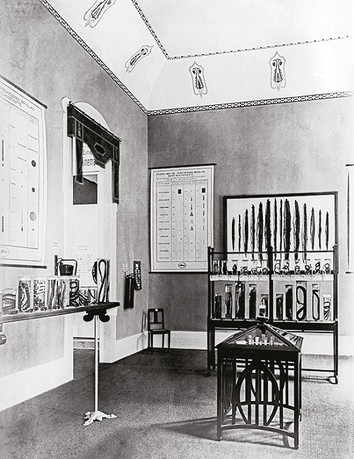 : Room with snake specimens from the Butantan Institute ( Exposi&ccedil;&otilde;es&hellip;, 1911 )