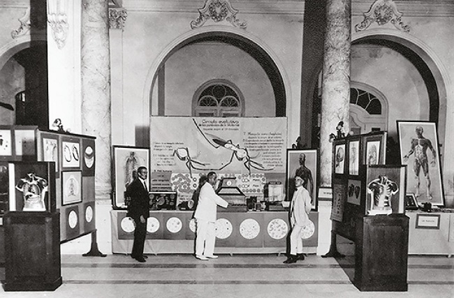 : Section about malaria at the Hygiene Exhibition in Havana (Pr&auml;sentation&hellip;,1928)