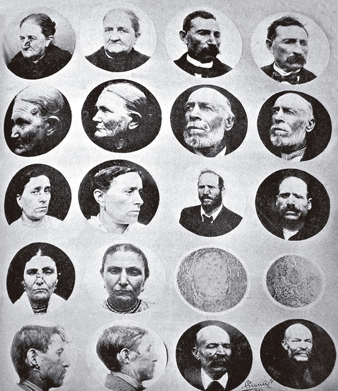   Radioterapia (
              Costa, 1904)
            