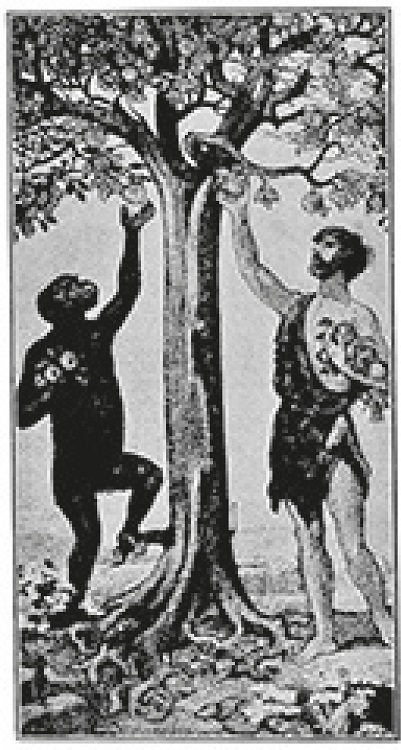 : Ilustração da matéria “Os males que a carne nos faz” (Os males..., jan. 1918, p.56).