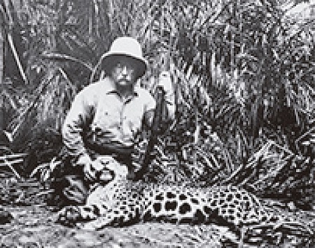 Roosevelt e o primeiro jaguar; fotografia de Kermit Roosevelt (Roosevelt, 1914b, p.80-81)