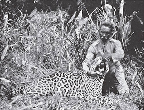 Rondon com o segundo jaguar; fotografia de Kermit Roosevelt (Roosevelt, 1914a, p.549)