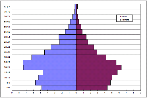 Pirámide de población de Montevideo, 1843
