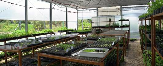 La vivera, cooperativa de trabajo