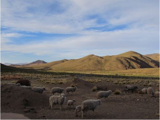 Ci�naga Azul, 2019.