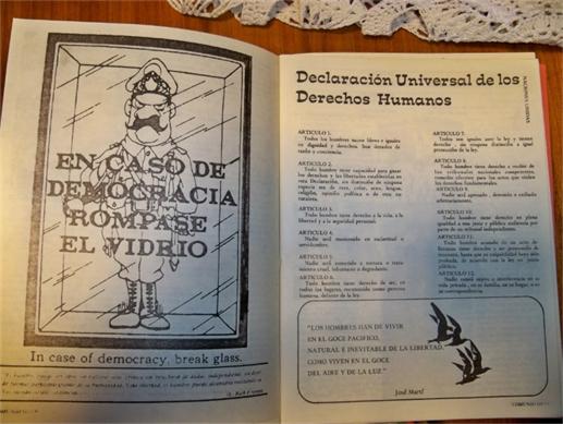&ldquo;En caso de Democracia r�mpase el vidrio&rdquo;.