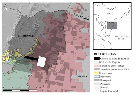 &Aacute;rea de estudio