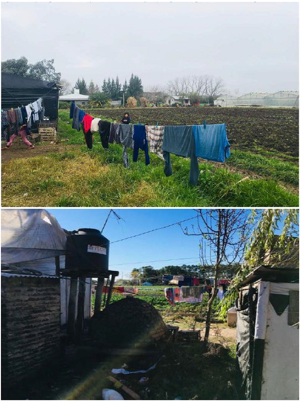 precariedad y cercan&iacute;a del hogar y la parcela productiva en las quintas hort&iacute;colas