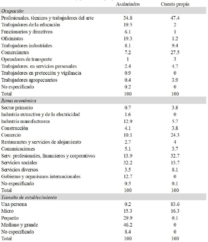Distribuci&oacute;n porcentual de las caracter&iacute;sticas ocupacionales de los profesionistas asalariados y por cuenta propia en M&eacute;xico, 2019.