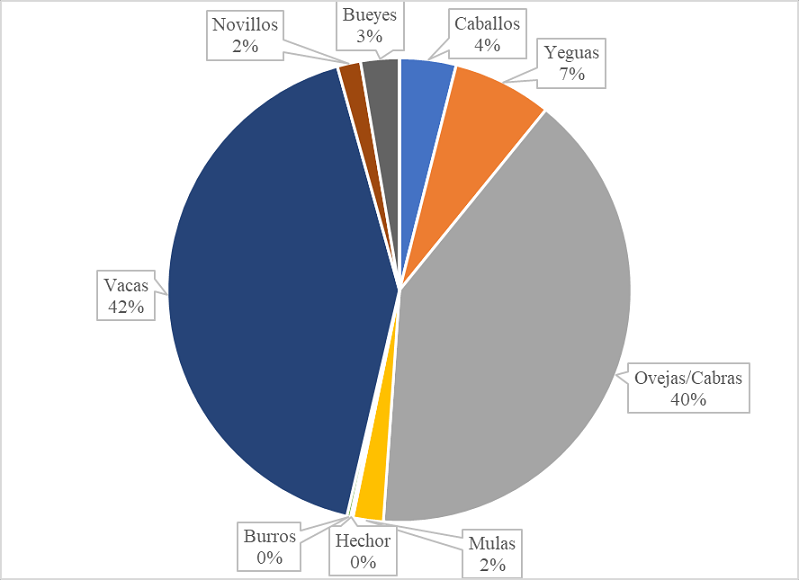 Distribución del ganado por especie (en cantidad de cabezas) 