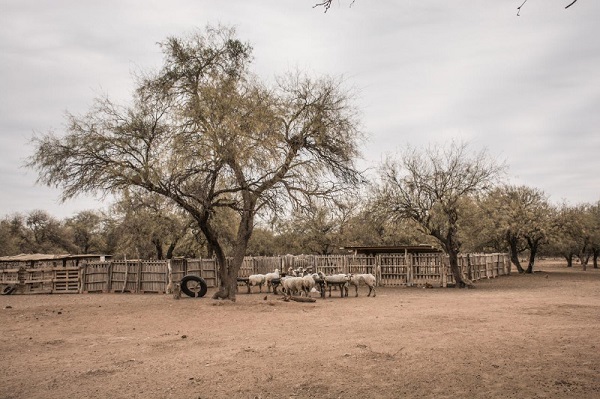 Espacio de corrales realizado con materiales reciclados en el h&aacute;bitat rural de Pocho, Traslasierra, C&oacute;rdoba, Argentina