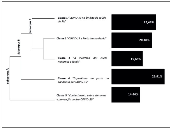 Dendrograma da Classifica��o Hier�rquica Descendente