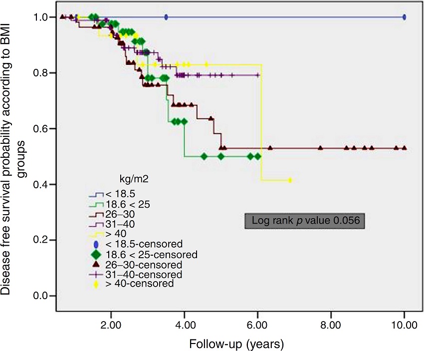 Kaplan-Meier curves of disease free survival according to BMI groups.