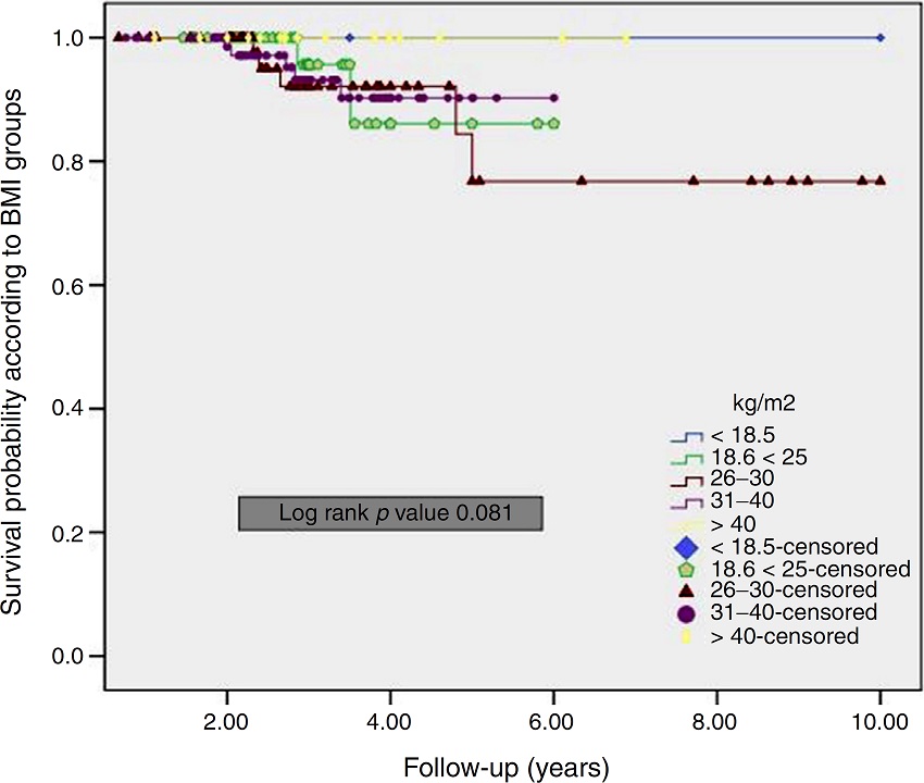 Kaplan-Meier curves of overall survival according to BMI groups.