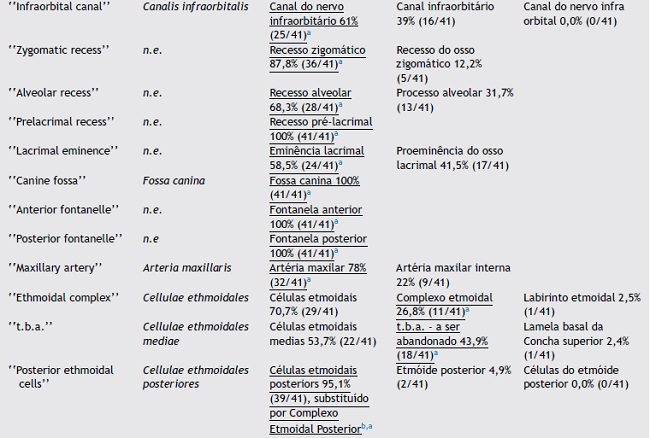 Final results of the suggested terms and voting frequency of the three voted terms.