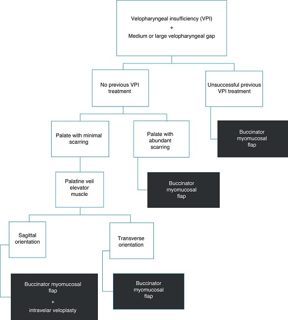 Therapeutic algorithm for the treatment of velopharyngeal
                                insufficiency of patients submitted to cleft palate correction
                                surgery, without palatine fistula and with medium or large
                                velopharyngeal gap.
