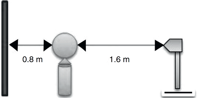 Distances of taking a photo. Photographs were taken from a constant
                            standpoint from the patient.