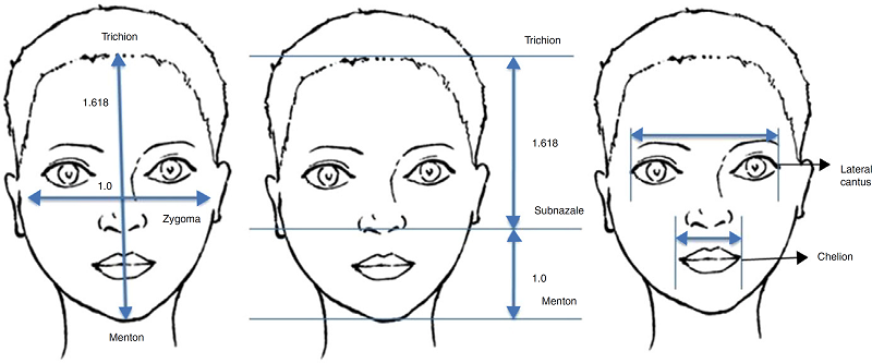 Measurements and ratios. Anatomical points, measurements and
                            proportions which are used for facial analysis.