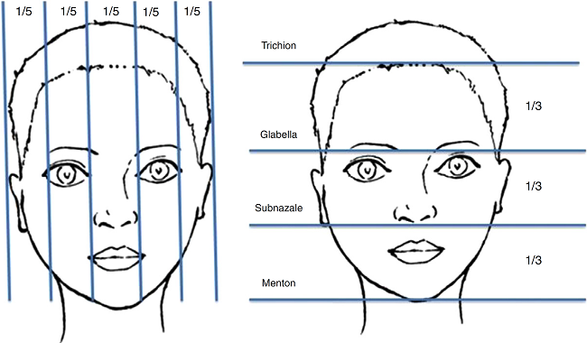 Height and width ratios of a face. A face is divided into five equal
                            parts in the vertical plane and three equal parts in the horizontal
                            plane.