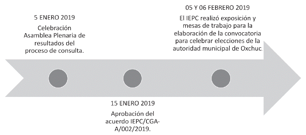 L&iacute;nea de tiempo, entrega de resultados de consulta e
									inicio del proceso para la elecci&oacute;n por usos y
									costumbres.