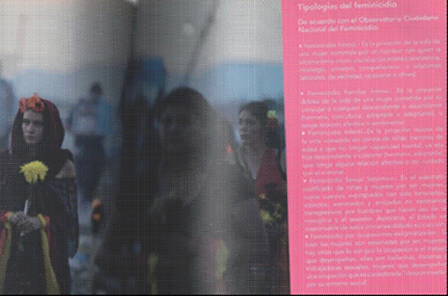 Fotograf&iacute;a del performance, &ldquo;Rostros de Fuego&rdquo; (2016) organizado por la
						Red Denuncia Feminicidios y otros colectivos de mujeres del Estado de
						M&eacute;xico. La imagen fue usada para ilustrar la secci&oacute;n &ldquo; Tipolog&iacute;as del
						feminicidio&rdquo; dentro del registro impreso de la exposici&oacute;n &ldquo;Feminicidio en
						M&eacute;xico&rdquo; (2017). Imagen: Jos&eacute; Ricardo Guti&eacute;rrez (2020).