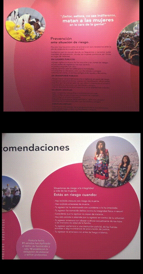 . Exposici&oacute;n &ldquo;Feminicidio en M&eacute;xico&rdquo;. Museo Memoria y Tolerancia.
							Fotos: Jos&eacute; Ricardo Guti&eacute;rrez (2017)