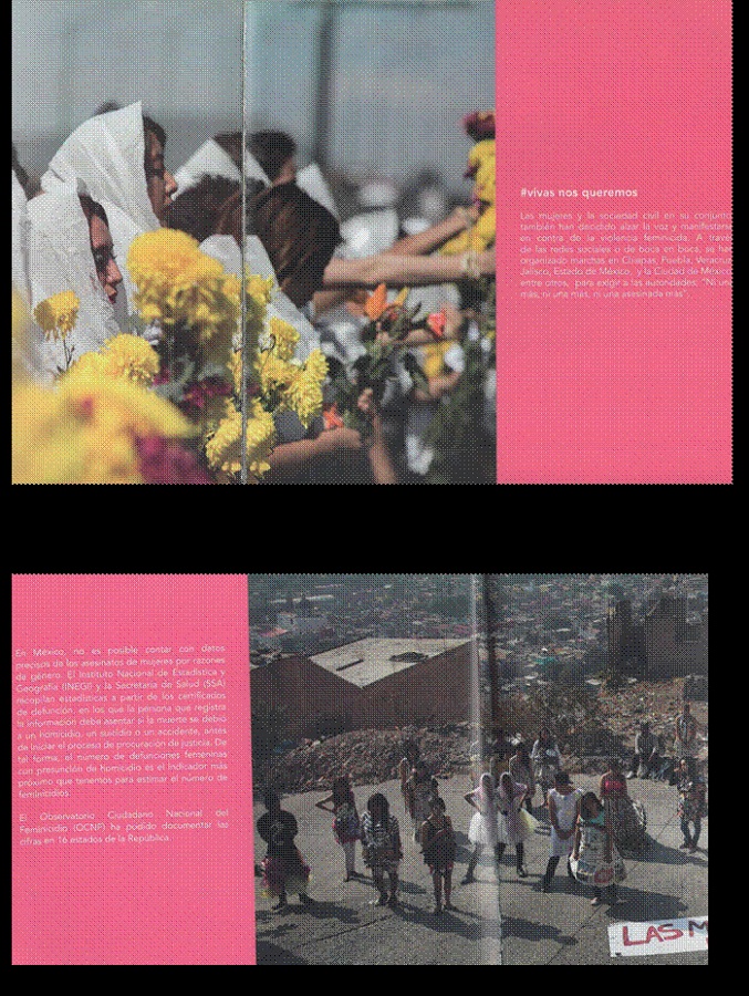 . Fotograf&iacute;as de los performances,&ldquo;Los feminicidios en R&iacute;o de los
							Remedios&rdquo; (2015) (arriba) y &ldquo;Las mujeres de la periferia no somos
							desechables&rdquo; (2015) (abajo) organizados por la Red Denuncia
							Feminicidios. Las im&aacute;genes fueron usadas para ilustrar el contenido
							escrito del registro impreso de la exposici&oacute;n &ldquo;Feminicidio en M&eacute;xico&rdquo;
							(2017). Im&aacute;genes: Jos&eacute; Ricardo Guti&eacute;rrez (2020).