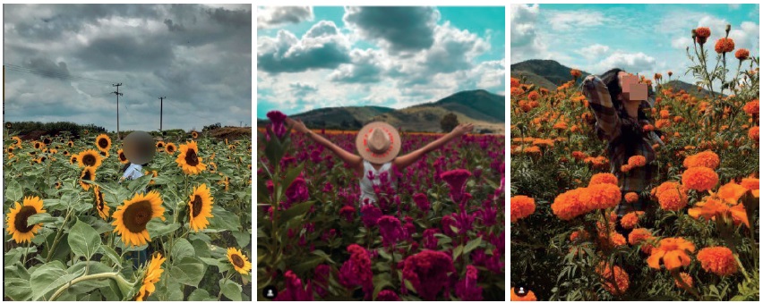 Ejemplos de inmersi�n en vegetaci�n