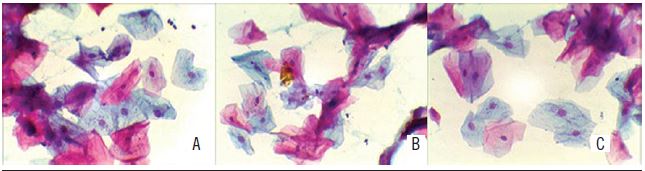 Staining classified as good in three fixation times A) seven days
							fixation; B) 30-minutes fixation; C) 15-minutes fixation.