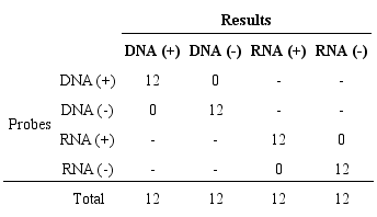 Chromogenic in situ hybridization reactions for DNA and
						RNA detection paired with probes