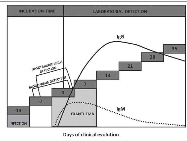 Clinical and laboratory evolution of measles
