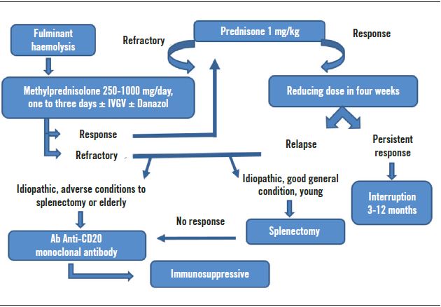 evans syndrome