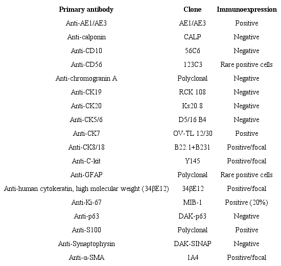 Primary antibody, manufacturer, clone and immunoexpression (Envision Flex
                        System)