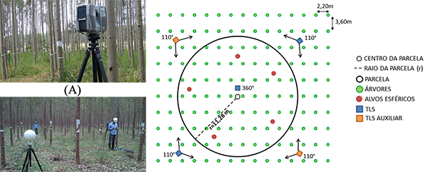 Levantamento por varredura laser terrestre: A) Laser terrestre; B) Alvos esféricos instalados na área da parcela; C) Disposição das estações na parcela circular