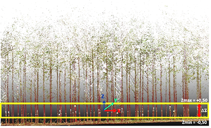 Recorte da seção transversal da nuvem de pontos de uma parcela