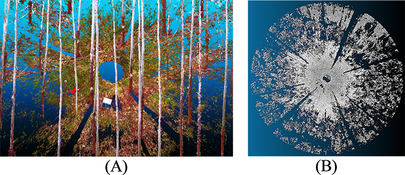 Efeito do sombreamento na varredura simples em parcela circular de 400 m2 no povoamento de 5 anos de idade: (A) vista frontal; (B) vista de topo