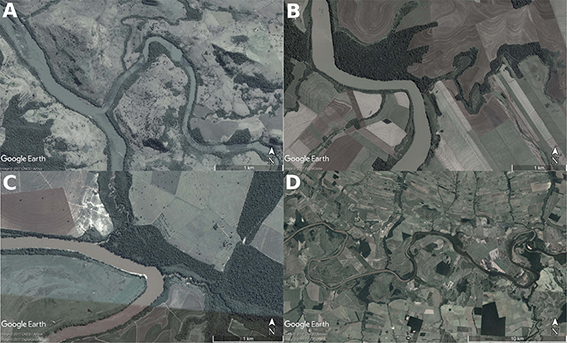 River confluences in Ivaí River watershed in the upper sector (A) the middle sector (B) the lower sector (C) and the floodplain area (D).