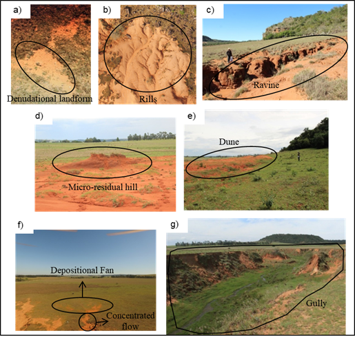 Landforms at the study area: a) Denudational landform; b) Rill; c) Ravine; d) Micro-residual hill; e) Dune; f) Depositional Fan and Concentrated flow; g) Gully.