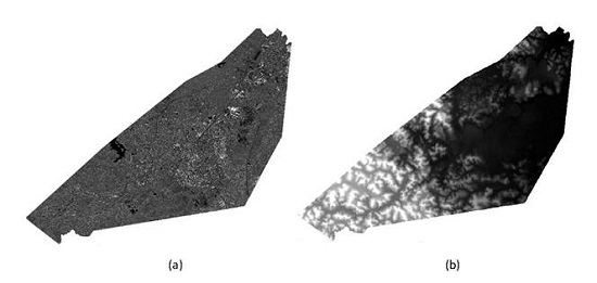 The InSAR dataset used for planimetric positional validation: a) System-based orthoimage; b) DTM. 