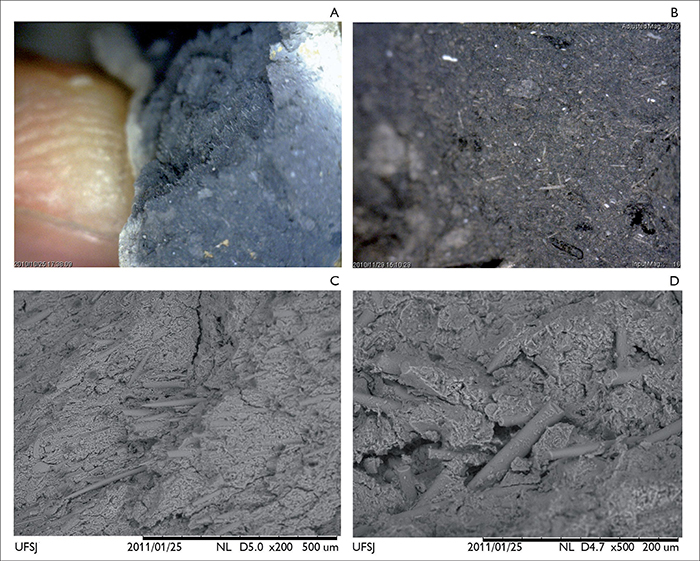 Registro feito com microscópio ótico de fragmento de cerâmica do sítio Vereda III (A e B) e feito com microscopia eletrônica de varredura (C e D): A) os pequenos ‘fios’ correspondem às espículas – observar a inclinação do fragmento necessária para visualização; B) os pequenos ‘fios’ correspondem às espículas (aumento de 60x); C) os ‘tubos’ compridos correspondem às espículas (aumento de 200x); D) os ‘tubos’ compridos correspondem às espículas (aumento de 500x). Fotos (A e B): Igor Rodrigues. Imagens de MEV (C e D): Departamento de Engenharia Mecânica da Universidade Federal de São João del-Rei (UFSJ).