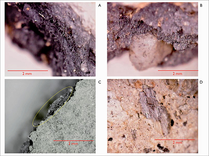 Registro feito com microscópio ótico: A) cauixi identificado no material cerâmico do sítio arqueológico Jaguara (Matozinhos, Minas Gerais); B) cauixi identificado no material cerâmico do sítio arqueológico Pastinho (Santa Lagoa, Minas Gerais); C) cauixi identificado no material cerâmico do sítio arqueológico Santo Antônio do Mocambo (Matozinhos, Minas Gerais); D) caraipé identificado no material cerâmico do sítio arqueológico fazenda Santa Margarida (Jaboticatubas, Minas Gerais). Os pequenos ‘fios’ em A, B e C correspondem às espículas. Observar o quartzo rolado ao fundo em B. Fotos: Elber Glória.