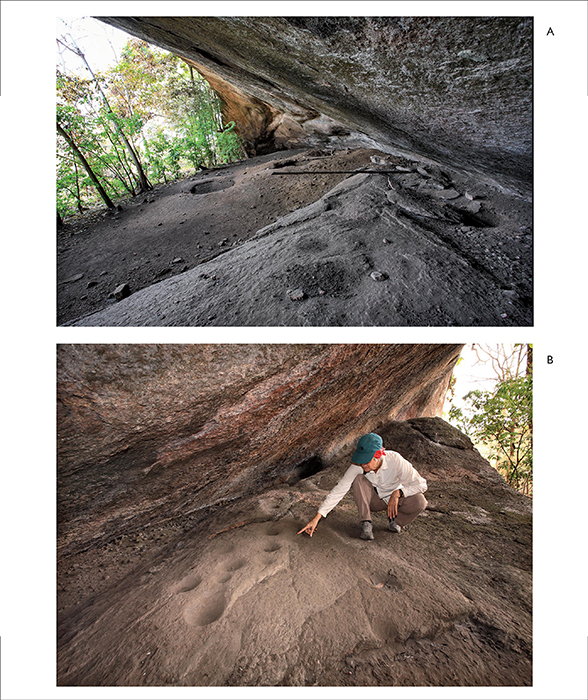 Cerro Gavil&aacute;n 2: A) view from eastern end with shallow mortar holes visible on bedrock and looter pits visible in the mound of sediment in the center of the shelter; B) view of mortar holes near the eastern end of the shelter. Photos by Franz Scaramelli.