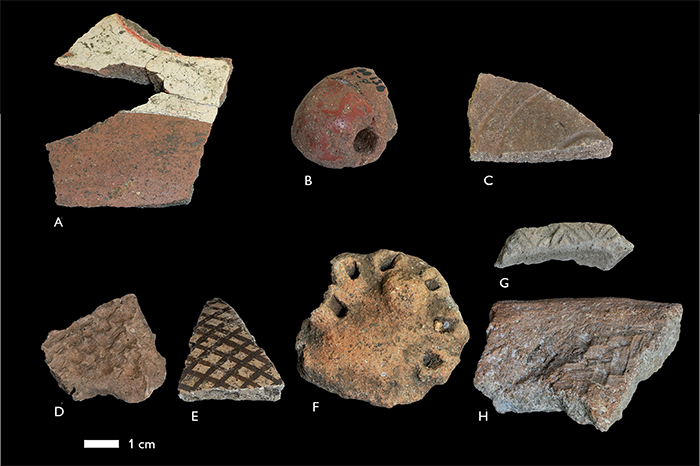 Ceramic materials from the surface collection of Cerro Gavil&aacute;n 2: A) Ronqu&iacute;n/ Ronqu&iacute;n Sombra style sherd with white on red paint; B) Ronqu&iacute;n/Ronqu&iacute;n Sombra modeled rim lug with red paint; C) Ronqu&iacute;n/Ronqu&iacute;n Sombra shallow fine incision; D) Arauquinoid basket impression on base; E) Arauquinoid brown on cream paint; F) Valloid modeled incised lug; G) Arauquinoid incised rim; H) Nericagua style caraip&eacute;-tempered base with basket impression. 