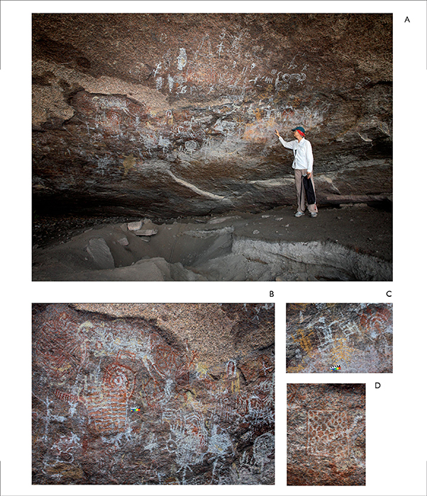 Rock paintings at Cerro Gavil&aacute;n 2: A) panel 2 ; B) panel 2 detail, with styles 1, 2, 4, 5 and 6; note white-bodied deer underlying red and white motifs; C) panel 2 detail showing dual anthropomorphs in yellow and white; D) panel 2 detail showing red and white motif reminiscent of basketry designs. Photos by Franz Scaramelli.