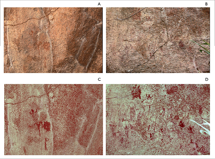Style 1 monochrome red figures on ceiling of Cerro Gavil&aacute;n 2: A) reptile, turtle and human with atlatl; C) same as above, enhanced with D-Stretch. Panel of rock paintings in Cerro Gavil&aacute;n 3: B) style 1 monochrome red motifs (turtle, lizards, frogs, and others) underlying style 2 white with red outlined fish and anthropomorphs (fine lined maroon style 3 lizards overlie both styles 1 and 2); D) same as above, enhanced with D-Stretch. 