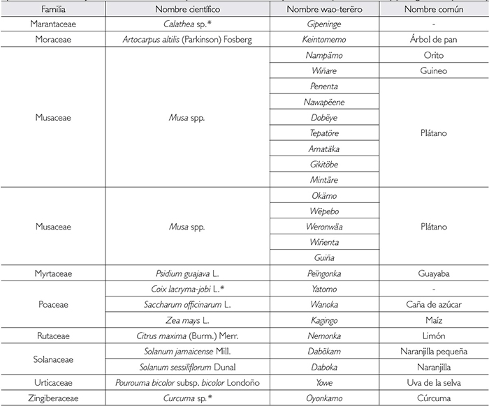 Plantas manejadas en las chacras waorani y sus variedades locales. Leyenda: * = especies silvestres y protegidas. (Continuación)