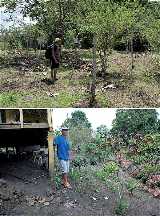 Sucuriju archaeological site in April 2015. The pictures show a mound and the Archaeological Dark Earth with high concentration of ceramic fragments on the surface. Photos: Nigel Smith, 2015.